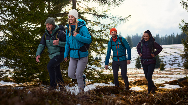 Vier wandelaars in het bos