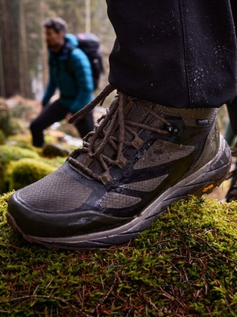 Schoen op bosgrond