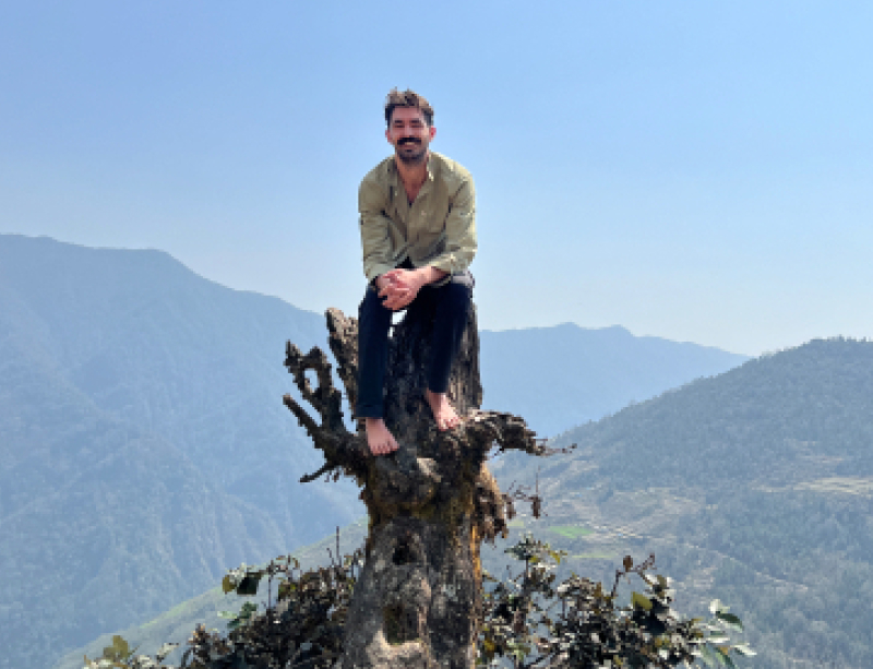 Ben sur une souche d'arbre dans les montagnes